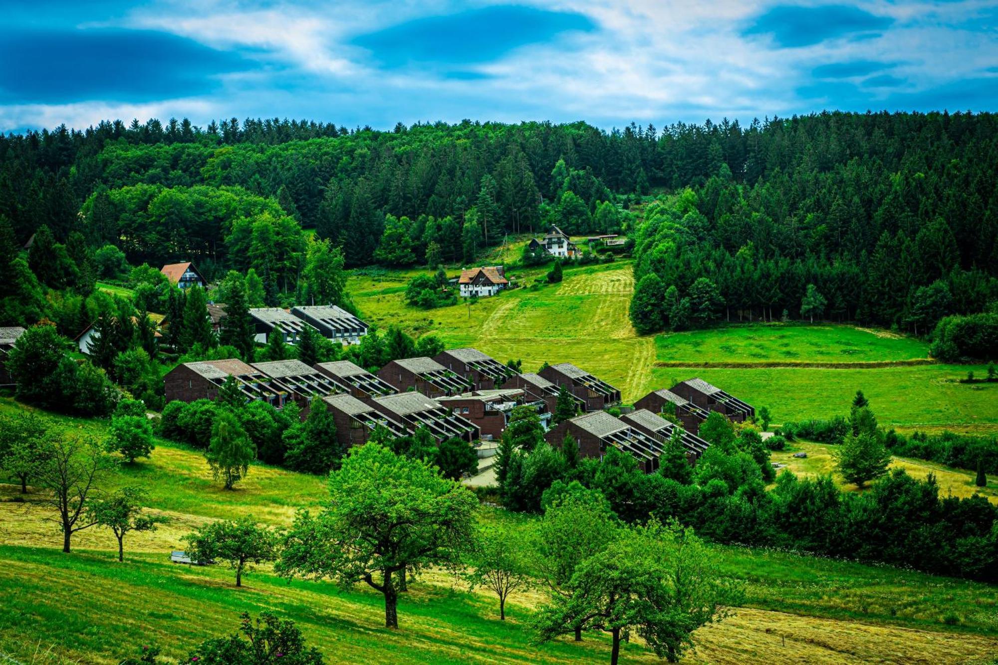 Natur Tanken Im Schwarzwald Засбахвальден Экстерьер фото